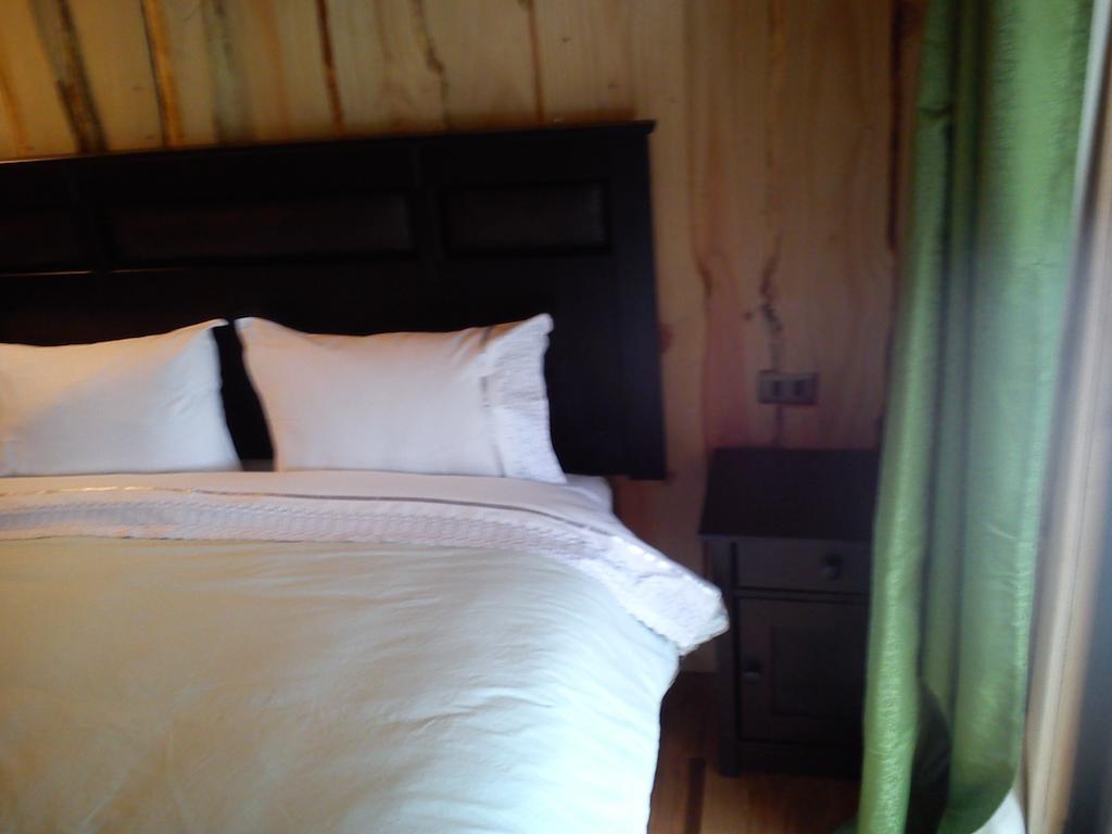 Hostal Los Alamos Neltume Cameră foto